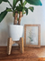 Maceta Petit - comprar online