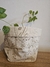 Contenedor Hawaii Beige - comprar online