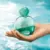 Acqua Di Gioia Giorgio Armani Eau de Parfum na internet
