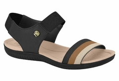 234148 NEGRO/CAMELL