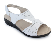 SC5116 BLANCO