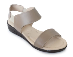 SC6709 TOPO