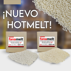 FANAMELT T-38- HOTMELT PARA PEGADORA DE CANTO X 5 KG en internet