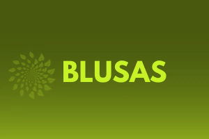 Marca 2 de Vila Verde Brechó