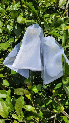 Kit 10 unidades saco de voal para proteção de frutas no pé na internet
