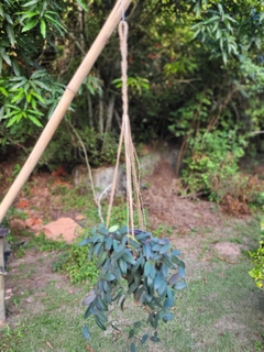 Suportes para plantas em macramê - comprar online