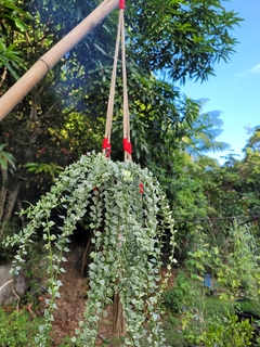 Suportes para plantas em macramê na internet