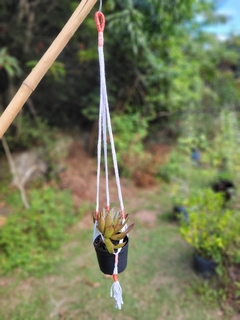 Imagem do Suportes para plantas em macramê