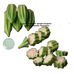 50 sementes de quiabo estrela