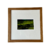 Quadro Araucária - 30x30cm com Vidro, Fotografia de Carlos Peder