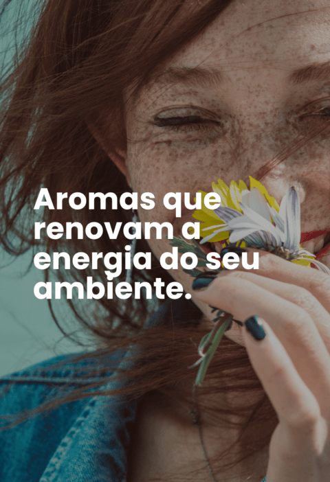 Carrossel 1