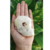Quartzo com enxofre Bruto - Proteção - Peça única com 268 gramas - comprar online