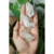 Mini Drusa de Quartzo Natural - Peças de 29 á 39 gramas