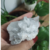 Drusa de Quartzo Natural - Peça única com 129 gramas - comprar online