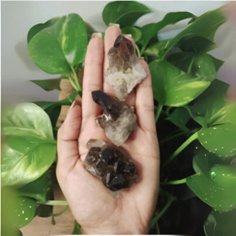 Mini Drusa de Quartzo Fumê - Qualidade Extra - Peças de 22 á 41 gramas - comprar online