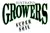 Sustrato original Growers (50lt) - comprar online