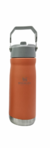 Garrafa Squeeze 650 ml Aço Inox Térmica com Canudo Logo Stan.