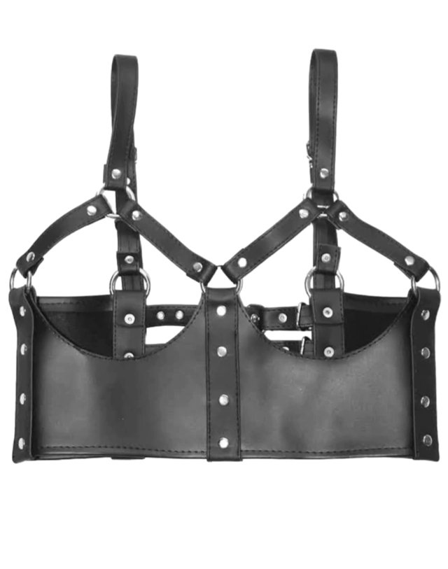 Underbust vikinga