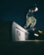 Tênis DC Shoes Lynx Cash Only - Roosevelt Skate Shop