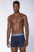 Cueca Lupo Am Boxer Algodão Com Elastano - Audácia Moda Íntima