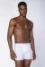 Cueca Lupo Am Boxer Algodão Com Elastano - Audácia Moda Íntima