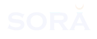 Sora vd