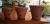 KIT Vasos de Barro