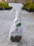 Bio Crescimento