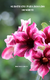 Imagem do Ebook ( livro digital ) Rosa do deserto