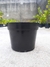 Pote 20 - comprar online