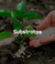Banner de Loja Belo Jardim