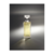 Calvin Klein Eternity for Women EDP - Cosméticos One | Tienda de productos de belleza profesional
