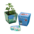Mini Huerta