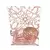 Clips Mooving Golden Rose 50mm x20