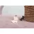 STICKER PVC 10*19cm CATS MEOW ibi craft en internet