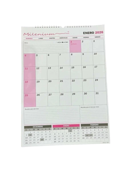Planificador Mensual Espiralado calendario 2026 46x64 GRANDE - comprar online