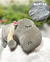 Imagen de PELUCHE con MANTA
