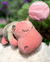 PELUCHE con MANTA