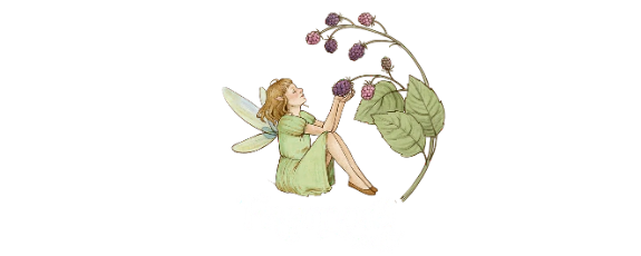 Faemora Studio