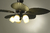 Imagen de Ventilador Led 429 C 4 Luces E27 C/Control 4 Aspas Laftdren Deco German Technology