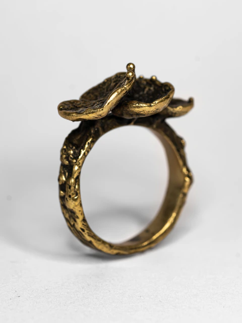 Anillo Daedalea - Bronce