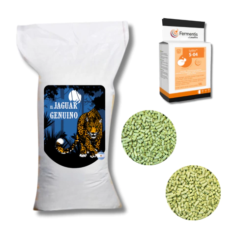 Combo 2 - comprar online