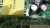 8856 - PLACA TV PHILCO PH20U21D NOVA / - comprar online