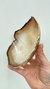 Bacia de Pedra com Borda de Ouro