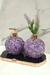 Kit Lavabo Ametista - comprar online