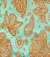 CALCINHA MORCEGO ESTAMPADA MORCEGO MLEV - Secret Dreams