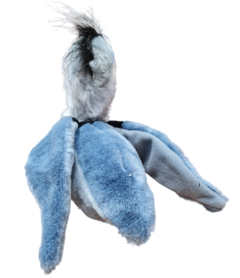 Blue Heron en internet