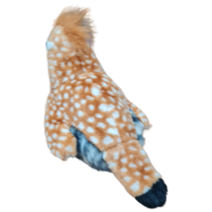 Ruffed Grouse en internet