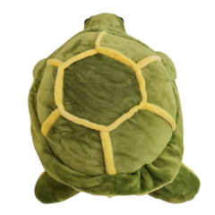 Tortuga en internet