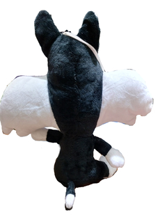 Gato Silvestre en internet